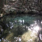 泉神社　250323 (1 - 1)